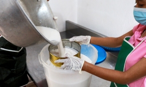 filtering coconut milk